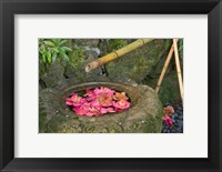 Framed Water Basin Flowers, Portland Japanese Garden, Oregon