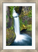 Framed Toketee Falls, Umpqua National Forest, Oregon