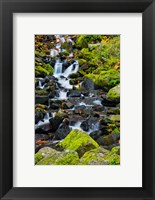 Framed Starvation Creek Falls In Autumn, Columbia Gorge Oregon