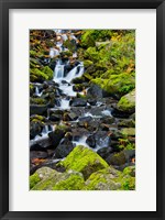 Framed Starvation Creek Falls In Autumn, Columbia Gorge Oregon