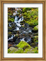 Framed Starvation Creek Falls In Autumn, Columbia Gorge Oregon