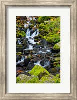 Framed Starvation Creek Falls In Autumn, Columbia Gorge Oregon