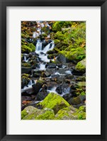 Framed Starvation Creek Falls In Autumn, Columbia Gorge Oregon