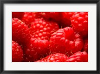 Framed Close-Up Of Fresh Raspberries