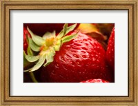 Framed Close-Up Of Fresh Strawberry