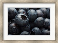 Framed Close-Up Of Dark Blueberries