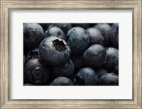 Framed Close-Up Of Dark Blueberries