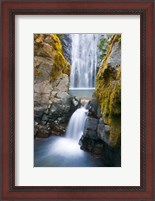 Framed Susan Creek Falls, Umpqua National Forest, Oregon