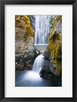 Framed Susan Creek Falls, Umpqua National Forest, Oregon