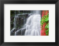 Framed Coopey Falls, Oregon
