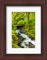 Framed Wahkeena Falls, Oregon