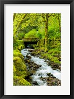 Framed Wahkeena Falls, Oregon
