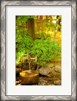 Framed Japanese Garden, Dundee, Oregon