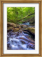 Framed Kitchen Creek Cascade, Pennsylvania