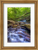 Framed Kitchen Creek Cascade, Pennsylvania