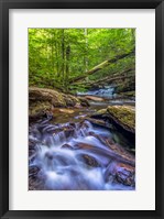 Framed Kitchen Creek Cascade, Pennsylvania