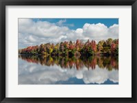 Framed Autumn Lake Reflection Of Ricketts Glen State Park, Pennsylvania