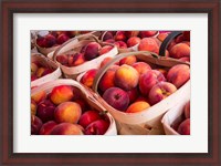 Framed Peaches In Baskets, South Carolina