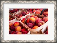 Framed Peaches In Baskets, South Carolina