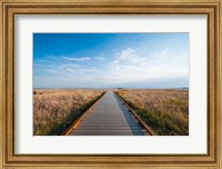 Framed Walkway Going Through The Badlands National Park, South Dakota