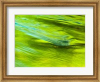 Framed Spring Reflection On The Little Pigeon River