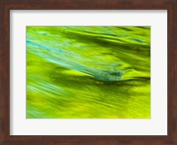 Framed Spring Reflection On The Little Pigeon River