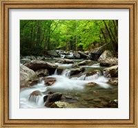 Framed Little Pigeon River At Greenbrier