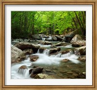 Framed Little Pigeon River At Greenbrier