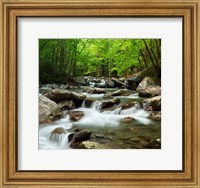 Framed Little Pigeon River At Greenbrier