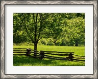 Framed Old Wooden Fence In Cades Cove