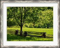 Framed Old Wooden Fence In Cades Cove