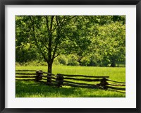 Framed Old Wooden Fence In Cades Cove