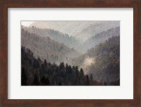 Framed Mist Rises In A Valley Of Tree-Lined Ridges