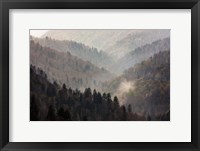 Framed Mist Rises In A Valley Of Tree-Lined Ridges