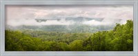 Framed Misty Morning Panorama Of The Greak Smoky Mountains National Park