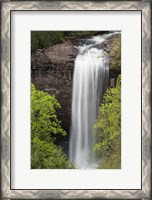 Framed Foster Falls, Tennessee
