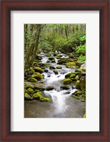 Framed Roaring Fork In Spring, Tennessee