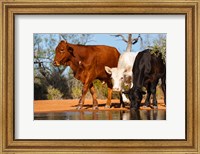 Framed Cattle Drinking