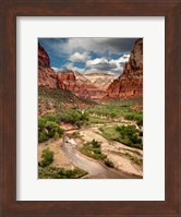 Framed View Along The Virgin River Or Zion National Park