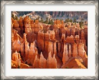 Framed Morning Light On The Hoodoos Of Bryce Canyon National Park