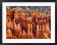 Framed Morning Light On The Hoodoos Of Bryce Canyon National Park