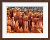 Framed Morning Light On The Hoodoos Of Bryce Canyon National Park