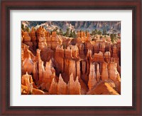 Framed Morning Light On The Hoodoos Of Bryce Canyon National Park