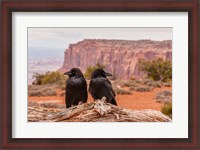 Framed Pair Of Ravens On A Log