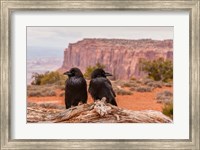 Framed Pair Of Ravens On A Log