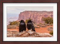 Framed Pair Of Ravens On A Log