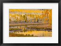 Framed Fishlake National Forest Landscape, Utah