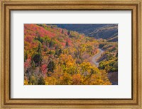 Framed Landscape With Nebo Loop Road, Uinta National Forest, Utah