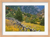 Framed Fence And Meadow Landscape, Utah