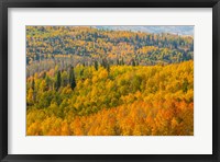 Framed Manti-La Sal National Forest In Autumn, Utah